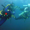 Picture taken during the dive