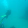 Picture taken during the dive