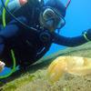 Picture taken during the dive