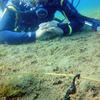 Picture taken during the dive