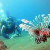 Picture taken during the dive