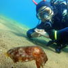 Picture taken during the dive