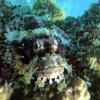 Picture taken during the dive