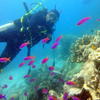 Picture taken during the dive