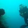 Picture taken during the dive