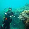 Picture taken during the dive