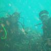 Picture taken during the dive
