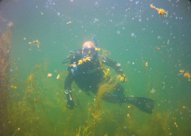 Diving in Canada, Saint-Timothée - By Patrick Latour