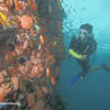 Picture taken during the dive