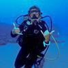 Picture taken during the dive
