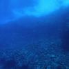 Picture taken during the dive