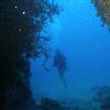 Picture taken during the dive