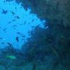 Picture taken during the dive