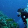 Picture taken during the dive
