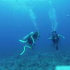 Picture taken during the dive
