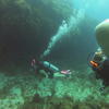 Picture taken during the dive