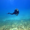Picture taken during the dive