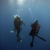 Picture taken during the dive