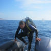 Picture taken during the dive
