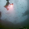 Picture taken during the dive