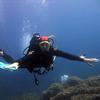 Picture taken during the dive