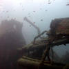 Picture taken during the dive