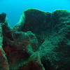 Picture taken during the dive