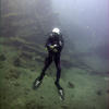 Picture taken during the dive