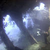 Picture taken during the dive