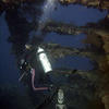 Picture taken during the dive