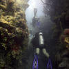 Picture taken during the dive