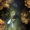 Picture taken during the dive