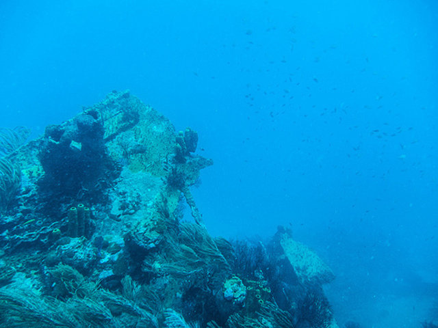 Eco Dive Barbados - Dive Center in Barbados