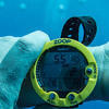 Picture taken during the dive