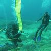 Picture taken during the dive