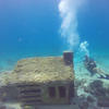 Picture taken during the dive