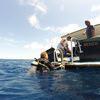 Picture taken during the dive