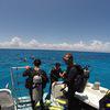 Picture taken during the dive