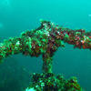 Picture taken during the dive