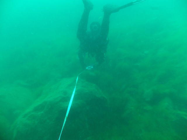 Cardiff Scuba Ltd - Dive Center in Reino Unido
