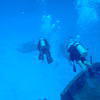 Picture taken during the dive