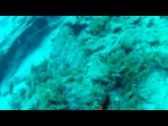 Dive Oludeniz - Dive Center in Turkey