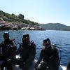 Picture taken during the dive