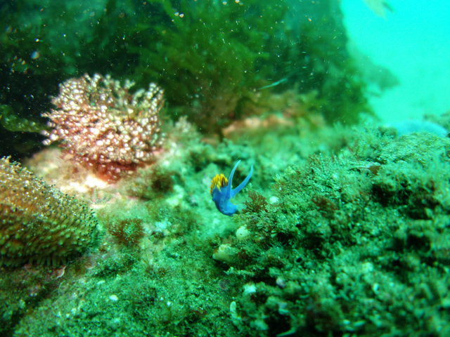 All Wet Scuba - Dive Center in United States