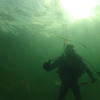 Picture taken during the dive