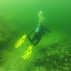 Picture taken during the dive