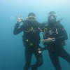 Picture taken during the dive