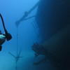 Picture taken during the dive