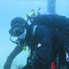 Picture taken during the dive