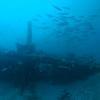 Picture taken during the dive
